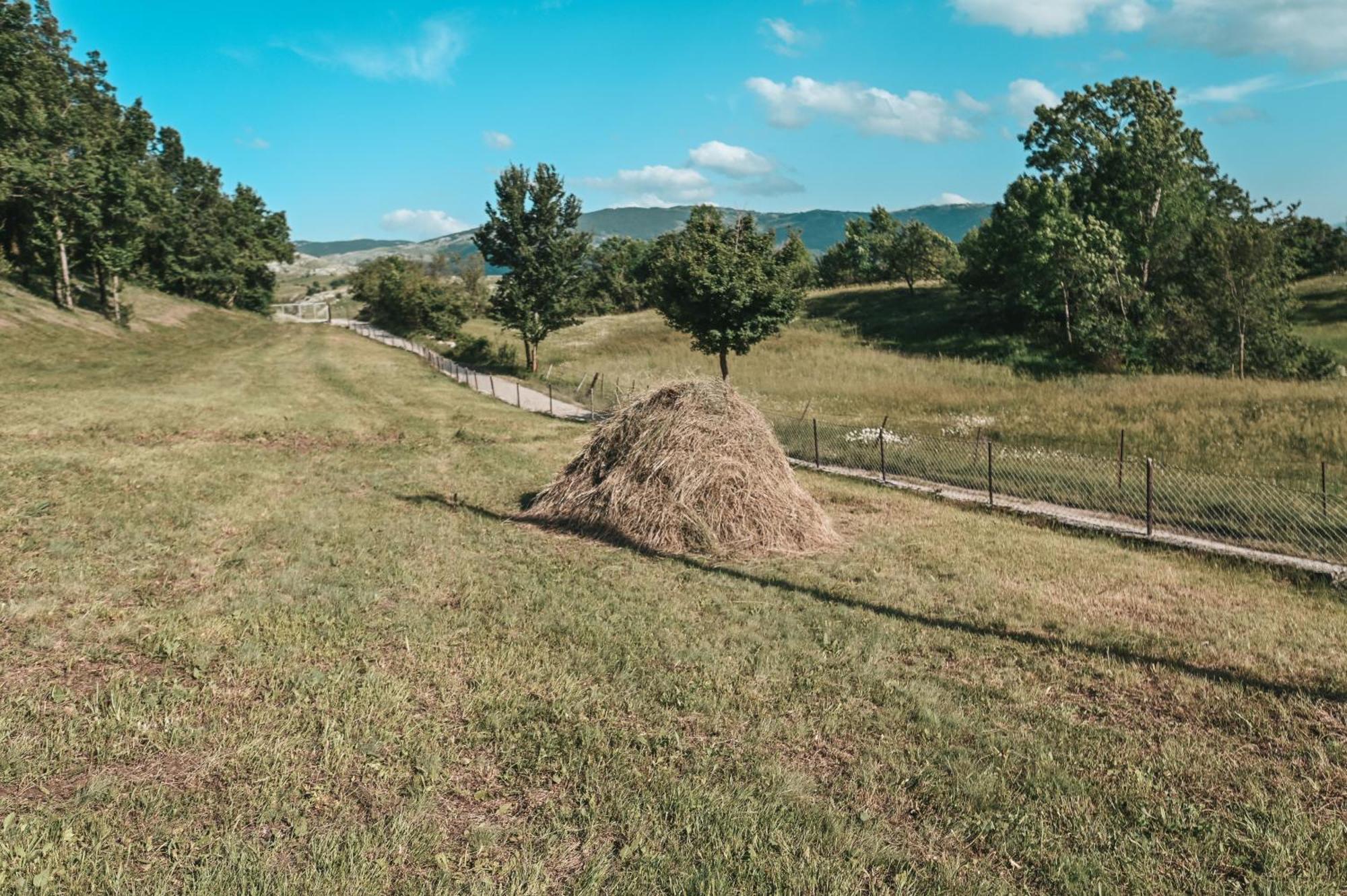 Villa Domacinstvo Braca Rebic Gacko Exterior foto